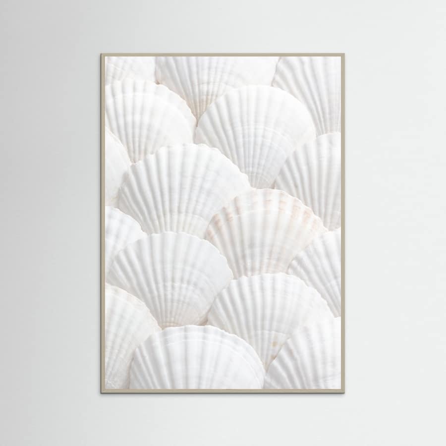 Shells_3 Poster – plakat og kunsttryk