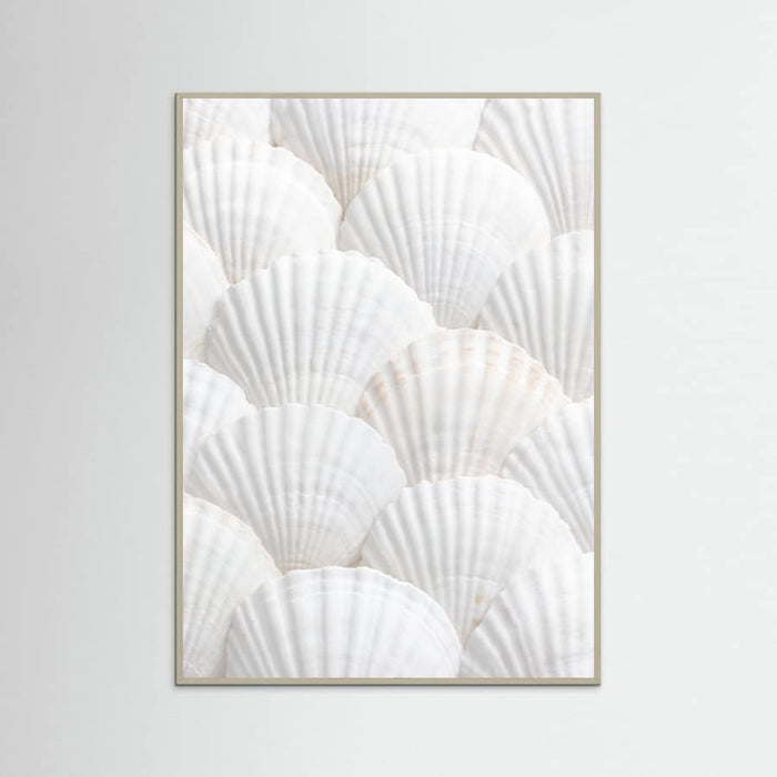 Shells_3 Poster – plakat og kunsttryk