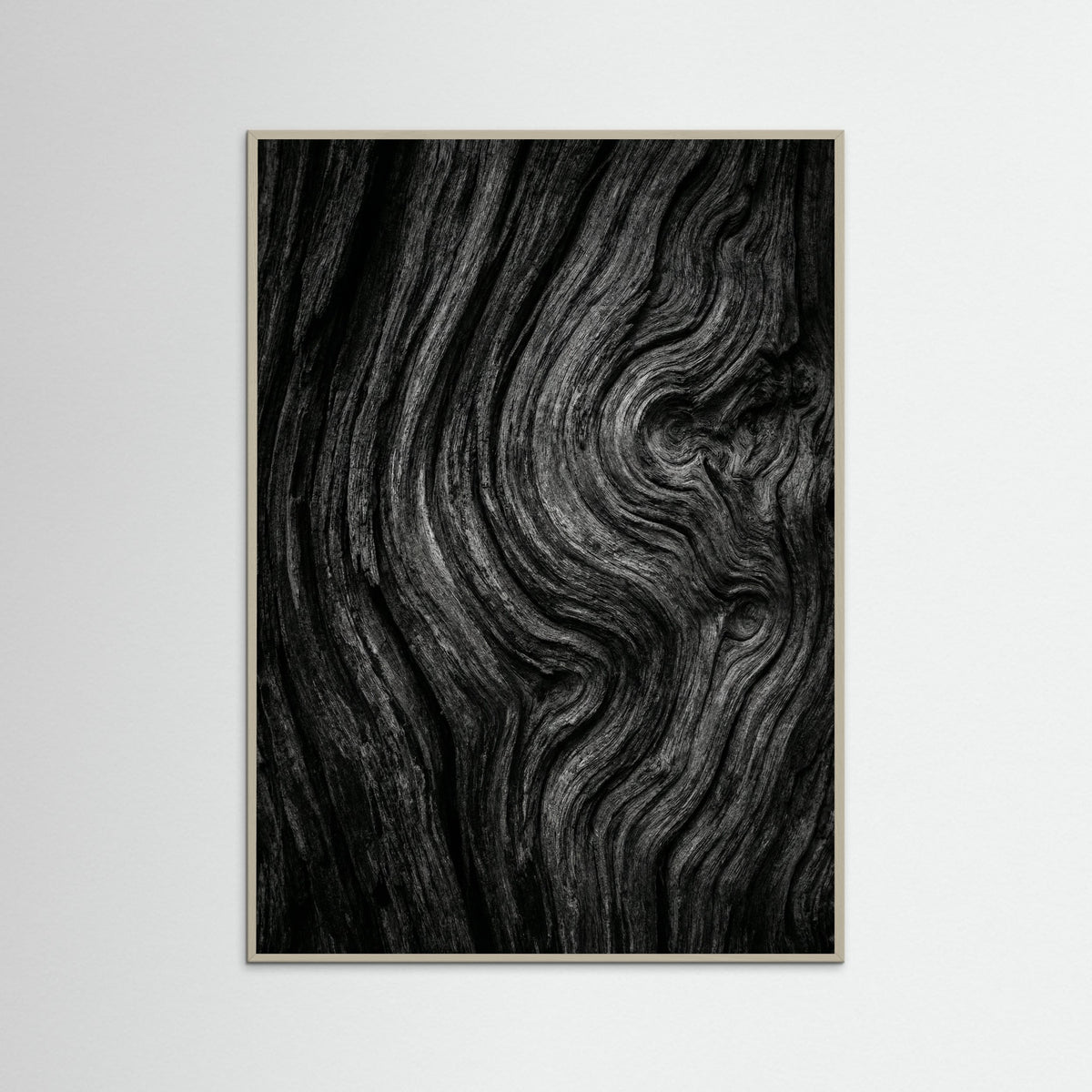 Grey Wood Silent Leaves