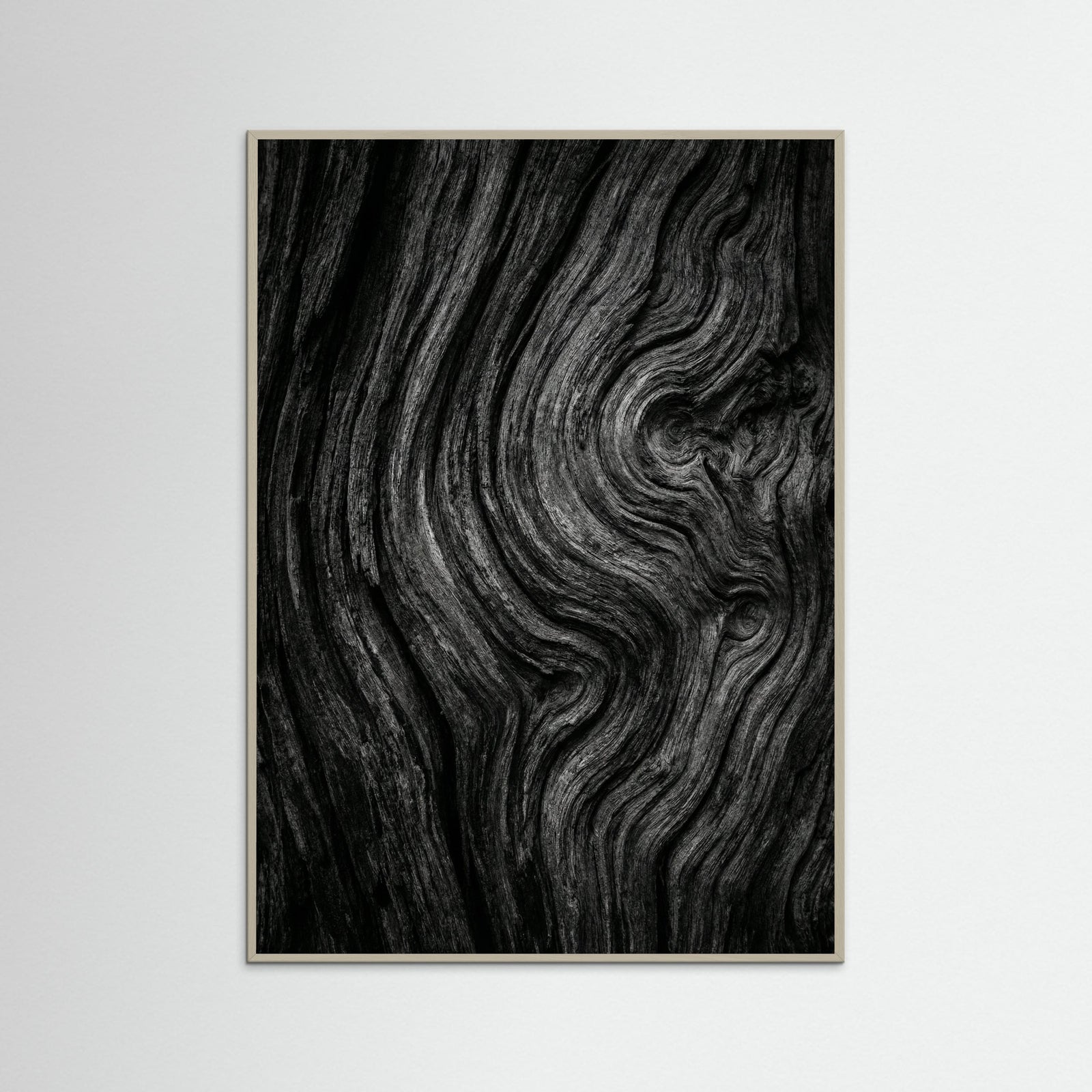 Grey Wood Silent Leaves