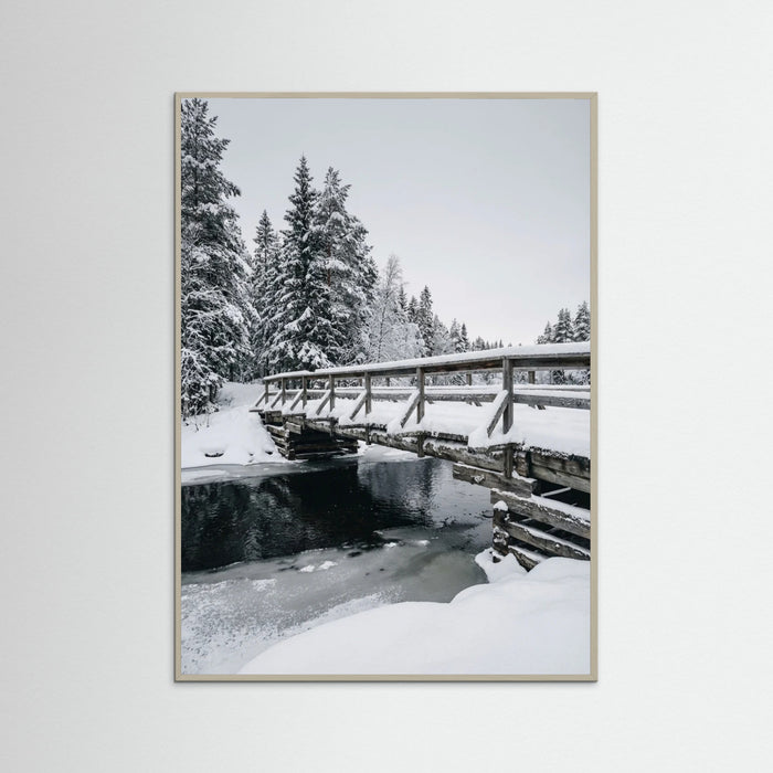 Grey Wood Snowy Sanctuary