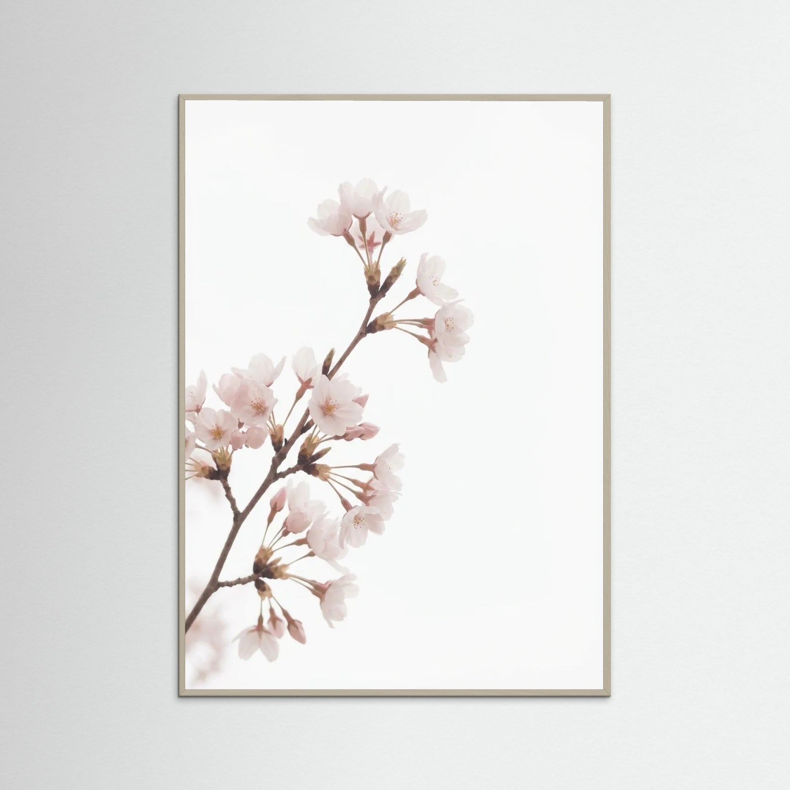 Grey Wood Soft Bloom Study