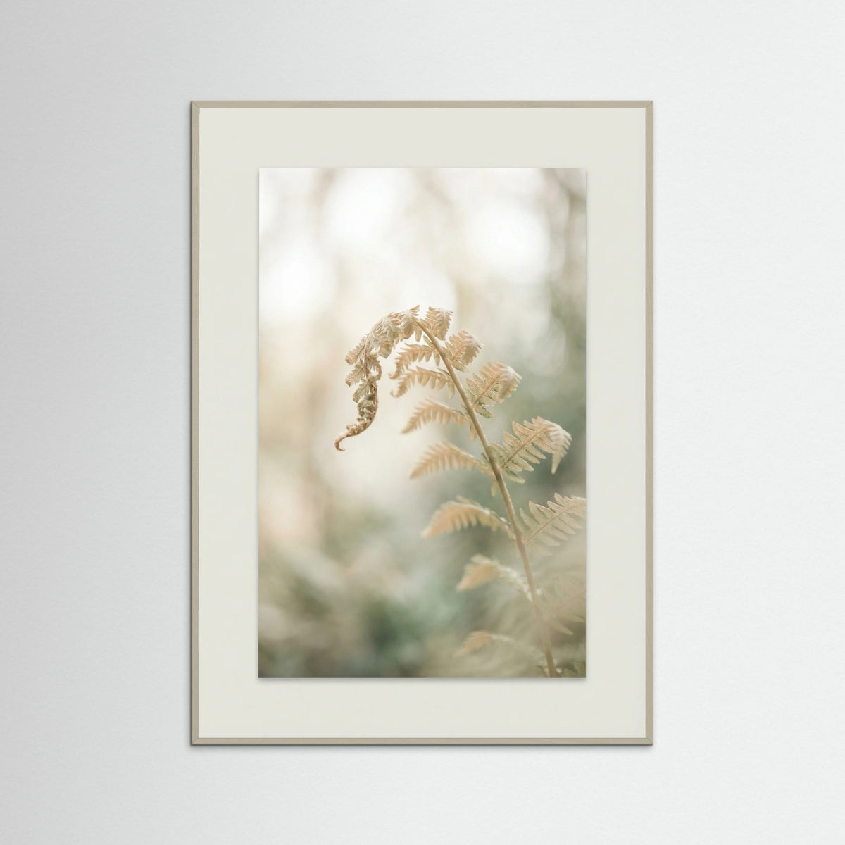 Grey Wood Soft Petals Whispers