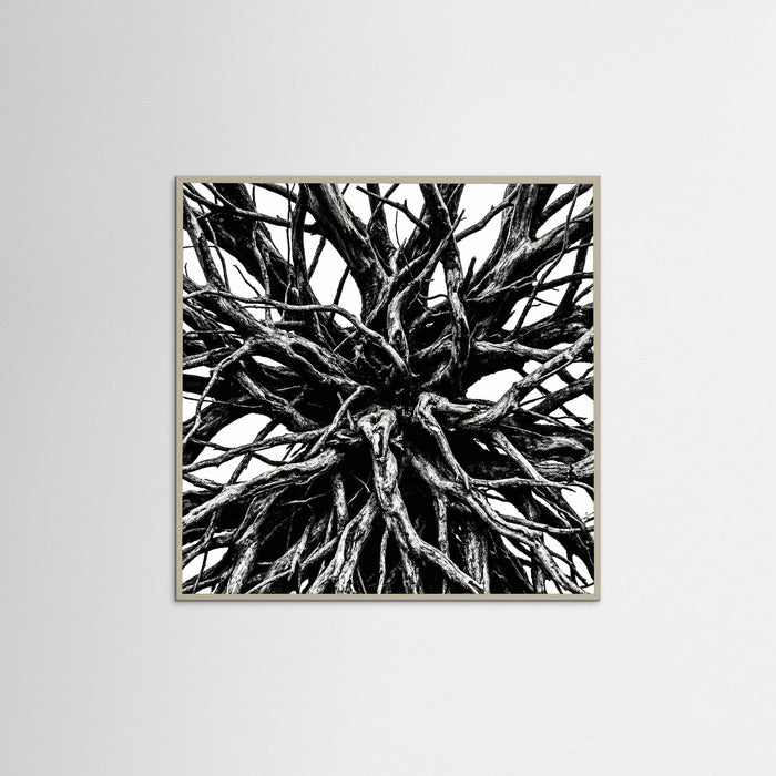 Grey Wood Square Dense Thicket
