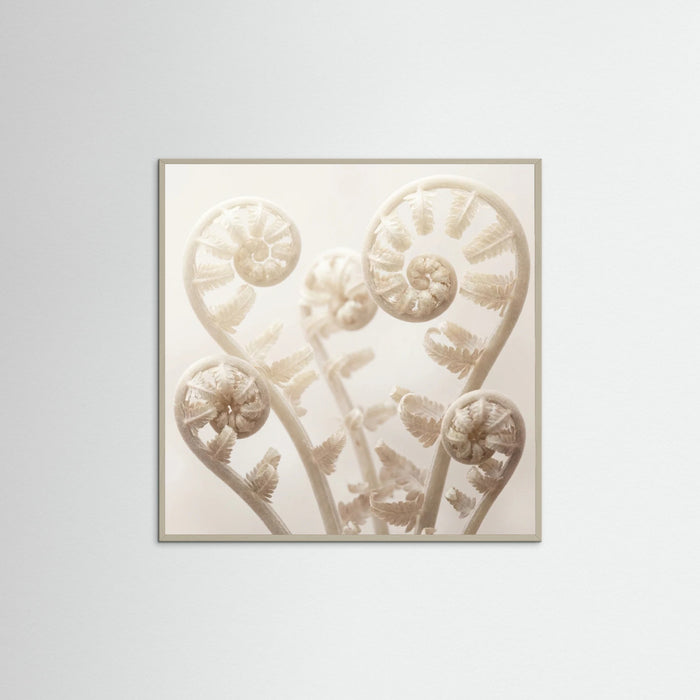 Grey Wood Square Ethereal Bloom
