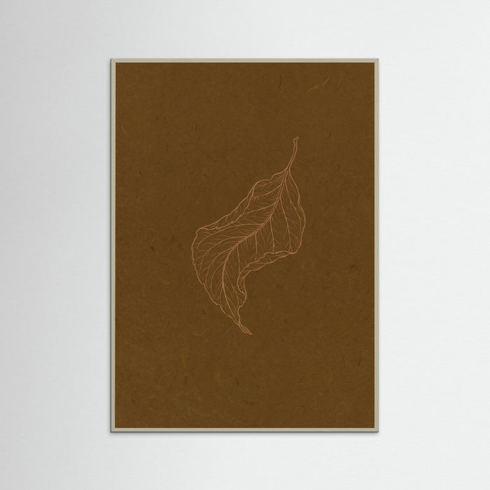 Grey Wood Subtle Entomology