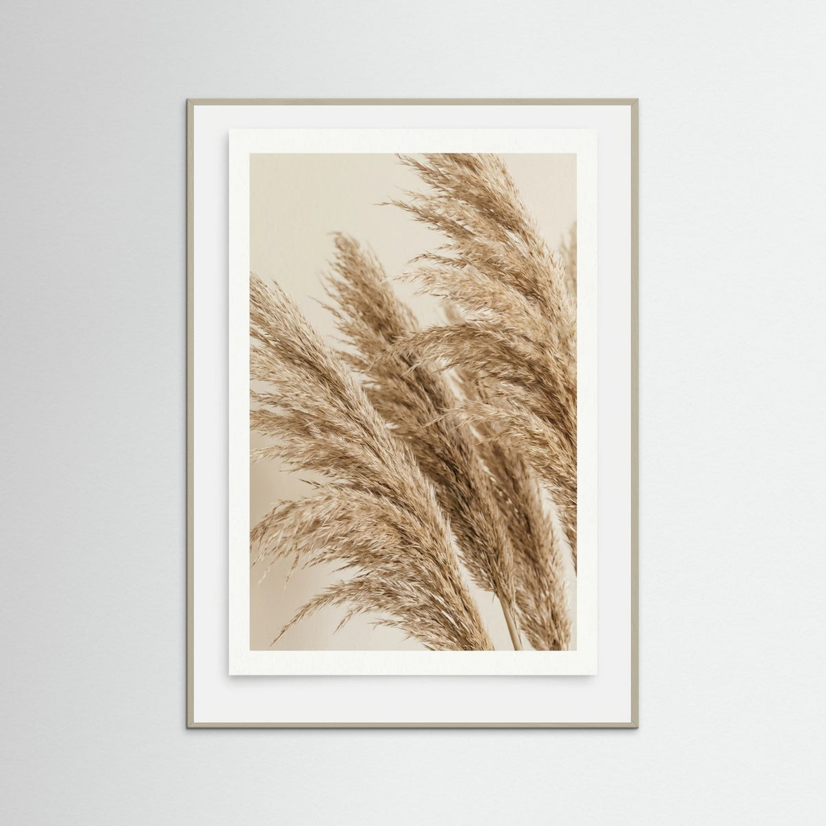 Grey Wood Sunlit Frond