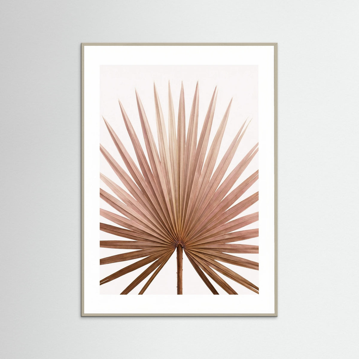 Grey Wood Tropical Blush