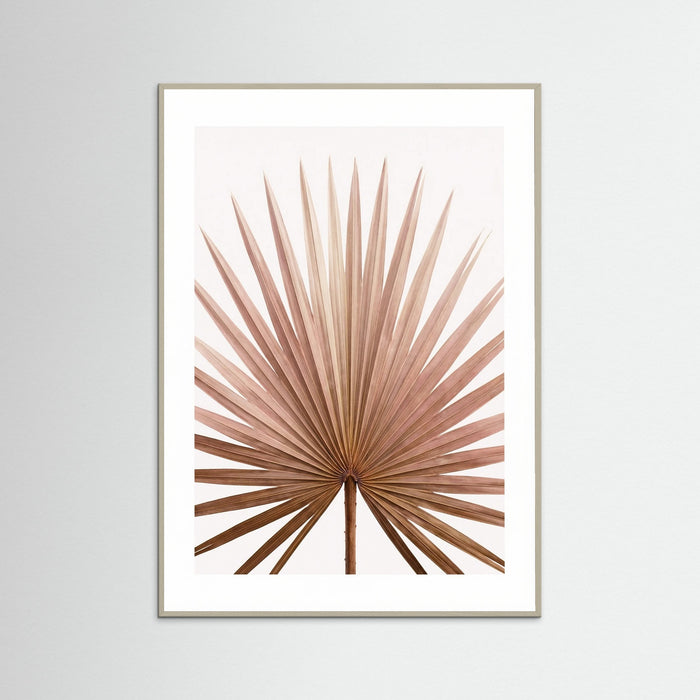 Grey Wood Tropical Blush