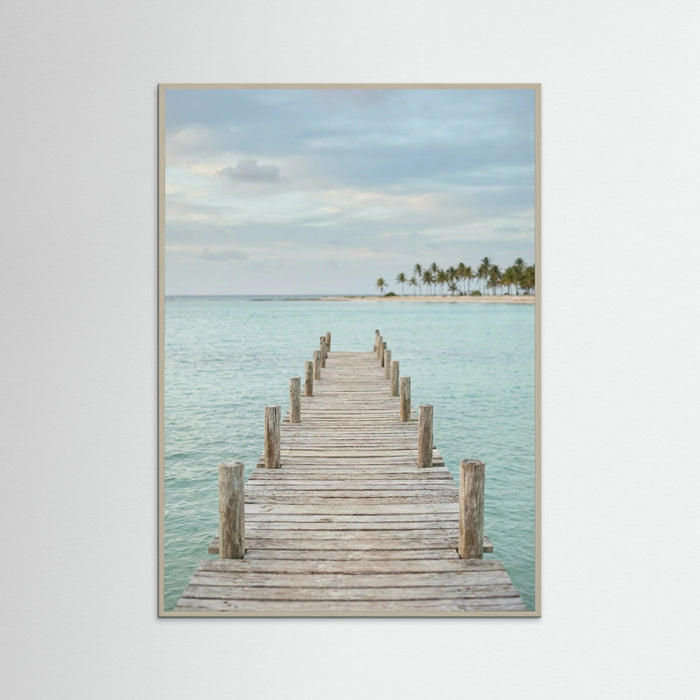 Grey Wood Tropical Pathway