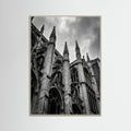 Grey Wood Urban Zenith
