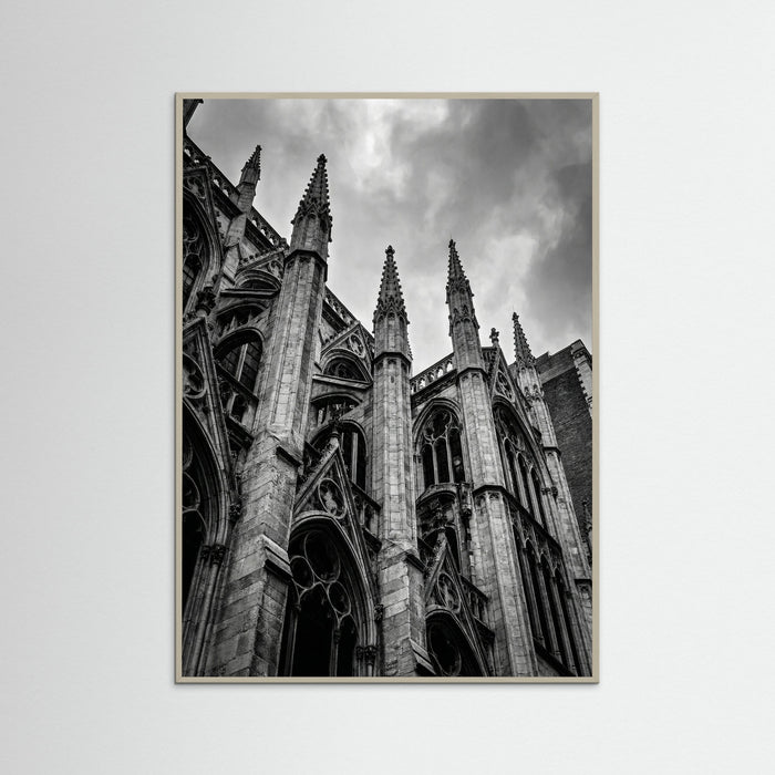 Grey Wood Urban Zenith