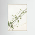 Grey Wood Verdant Calm