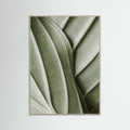 Grey Wood Verdant Folds