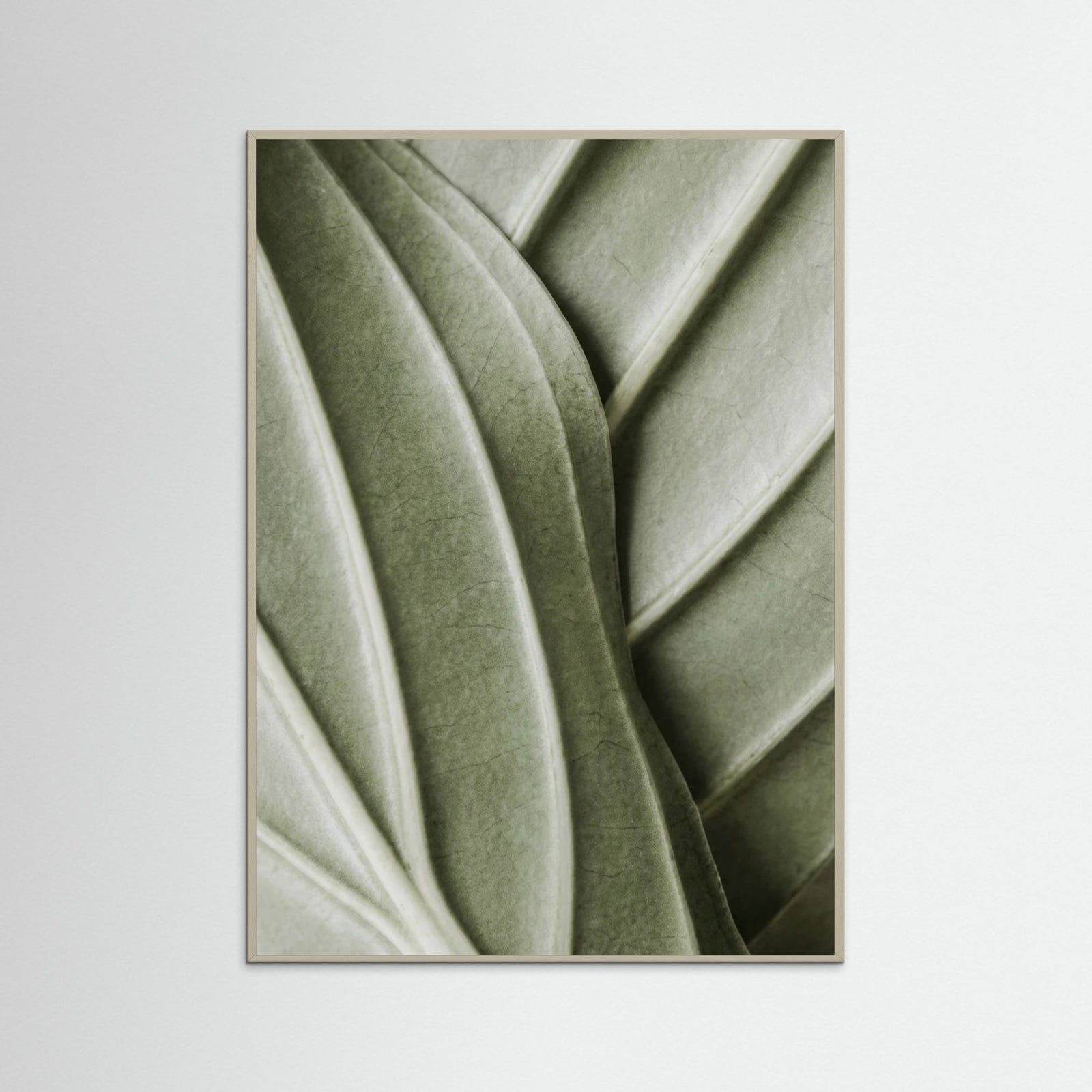 Grey Wood Verdant Folds