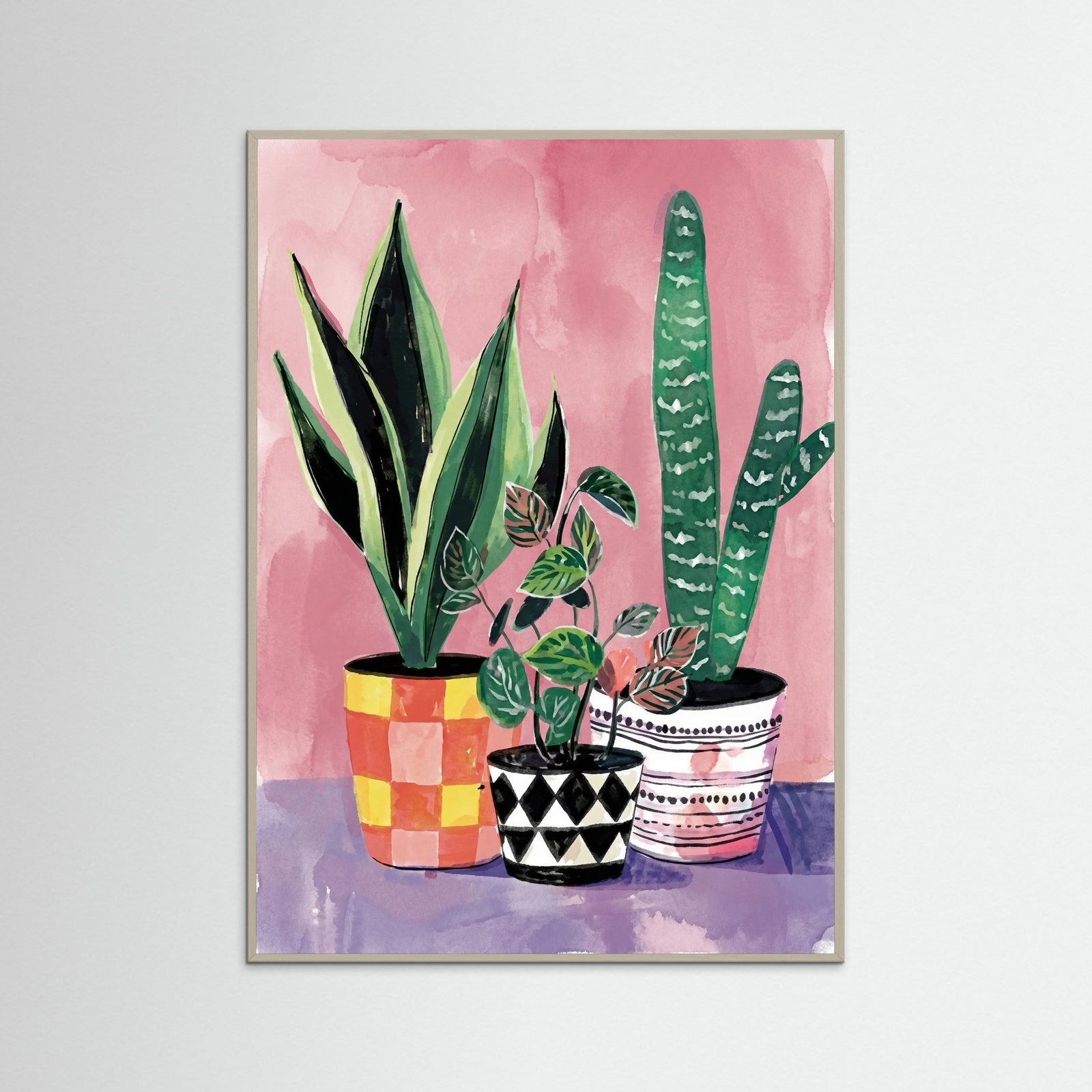 Grey Wood Vibrant Houseplant Trio