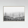 Grey Wood Western Cactus Poster