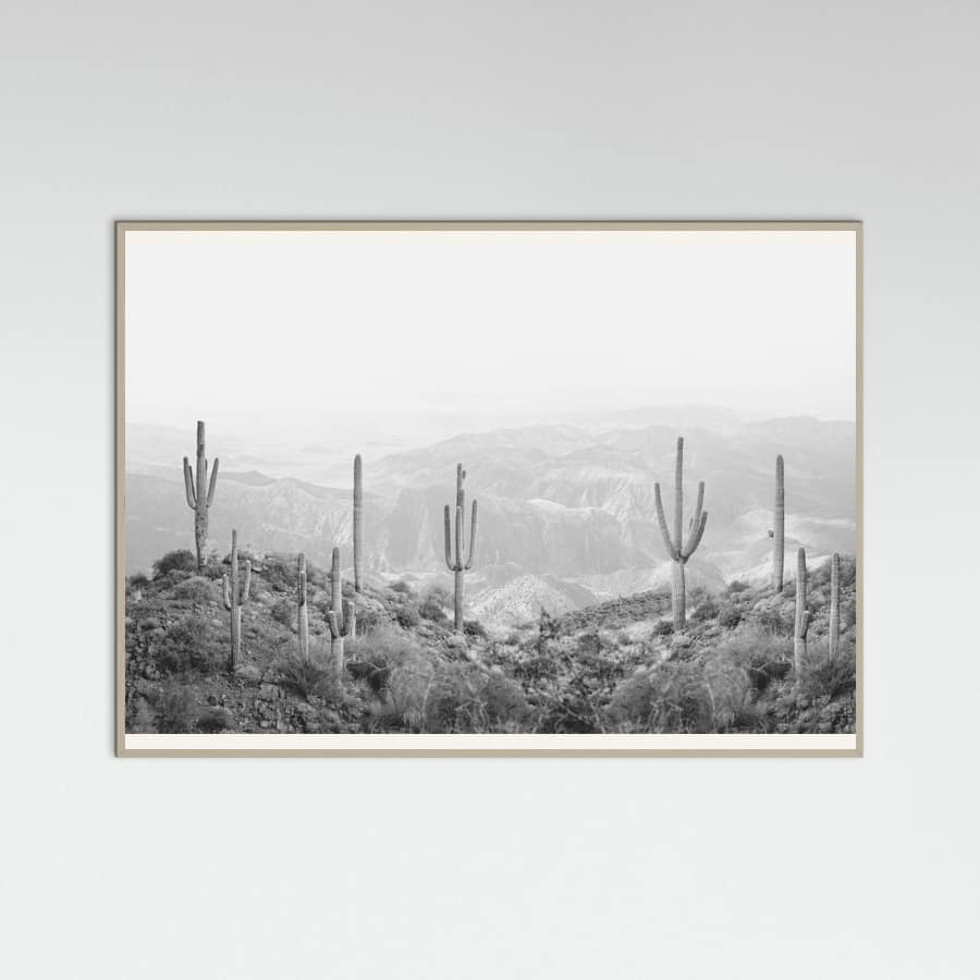 Grey Wood Western Cactus Poster