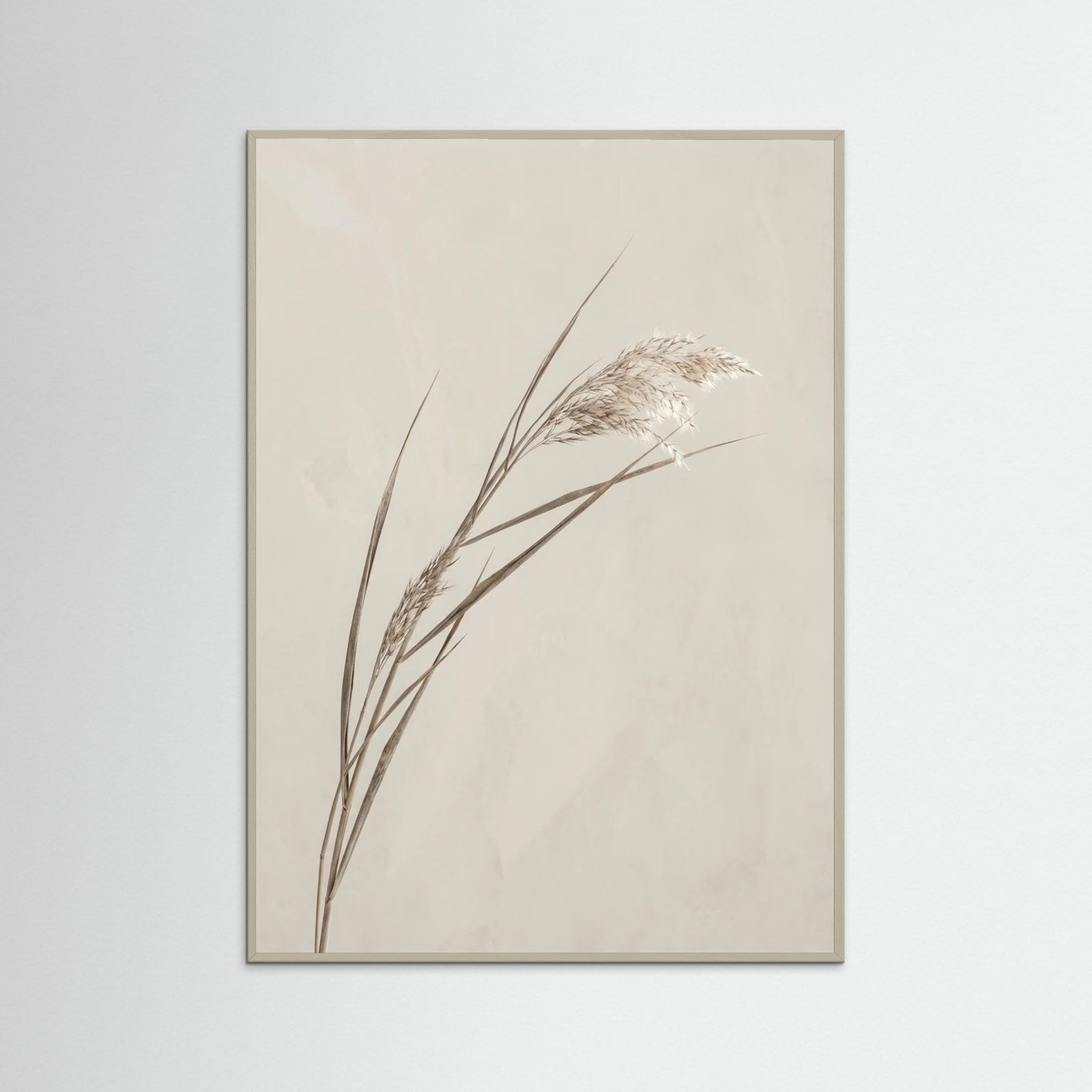 Grey Wood Whisper Bloom