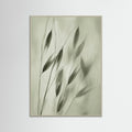 Grey Wood Whispering Fronds
