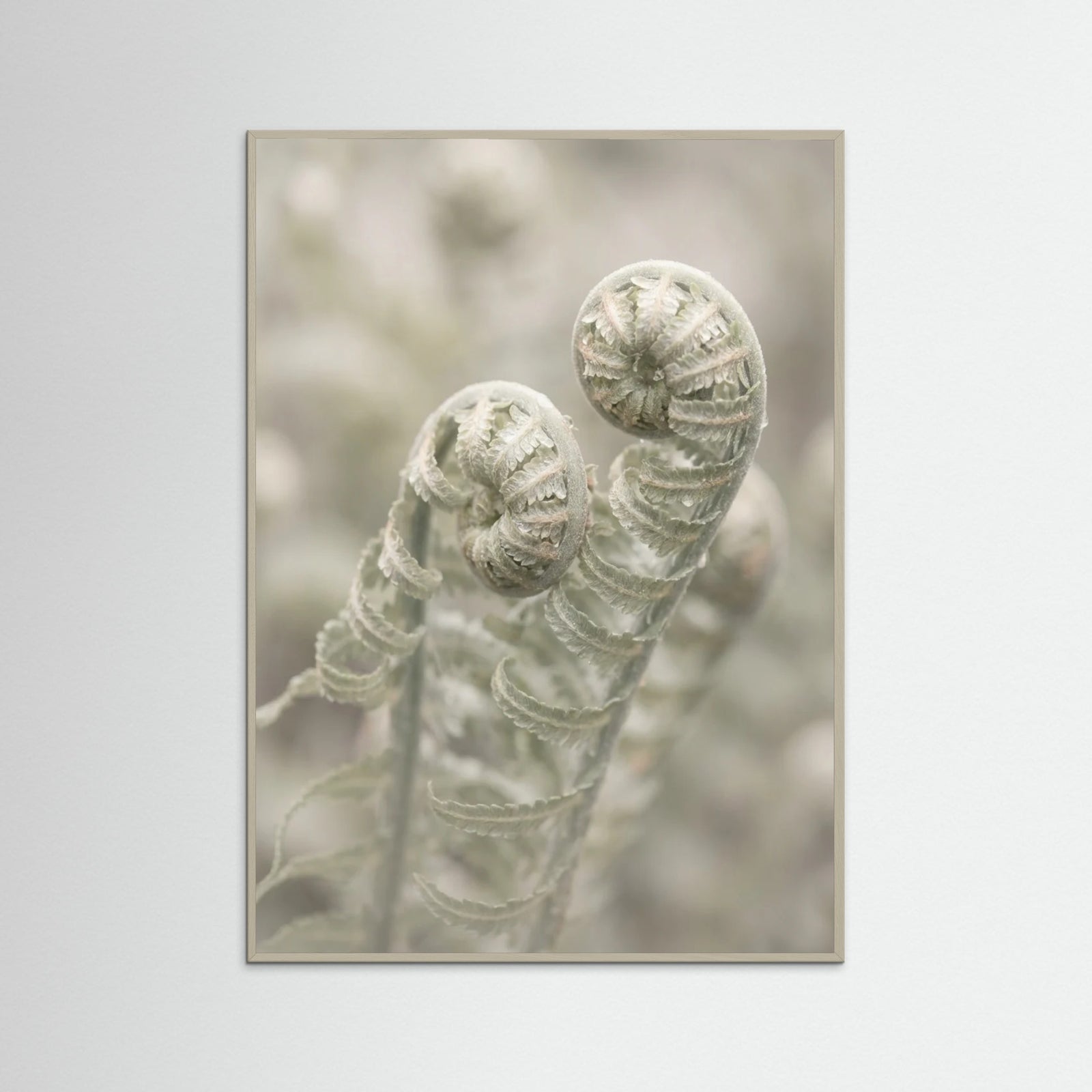 Grey Wood Whispering Petals