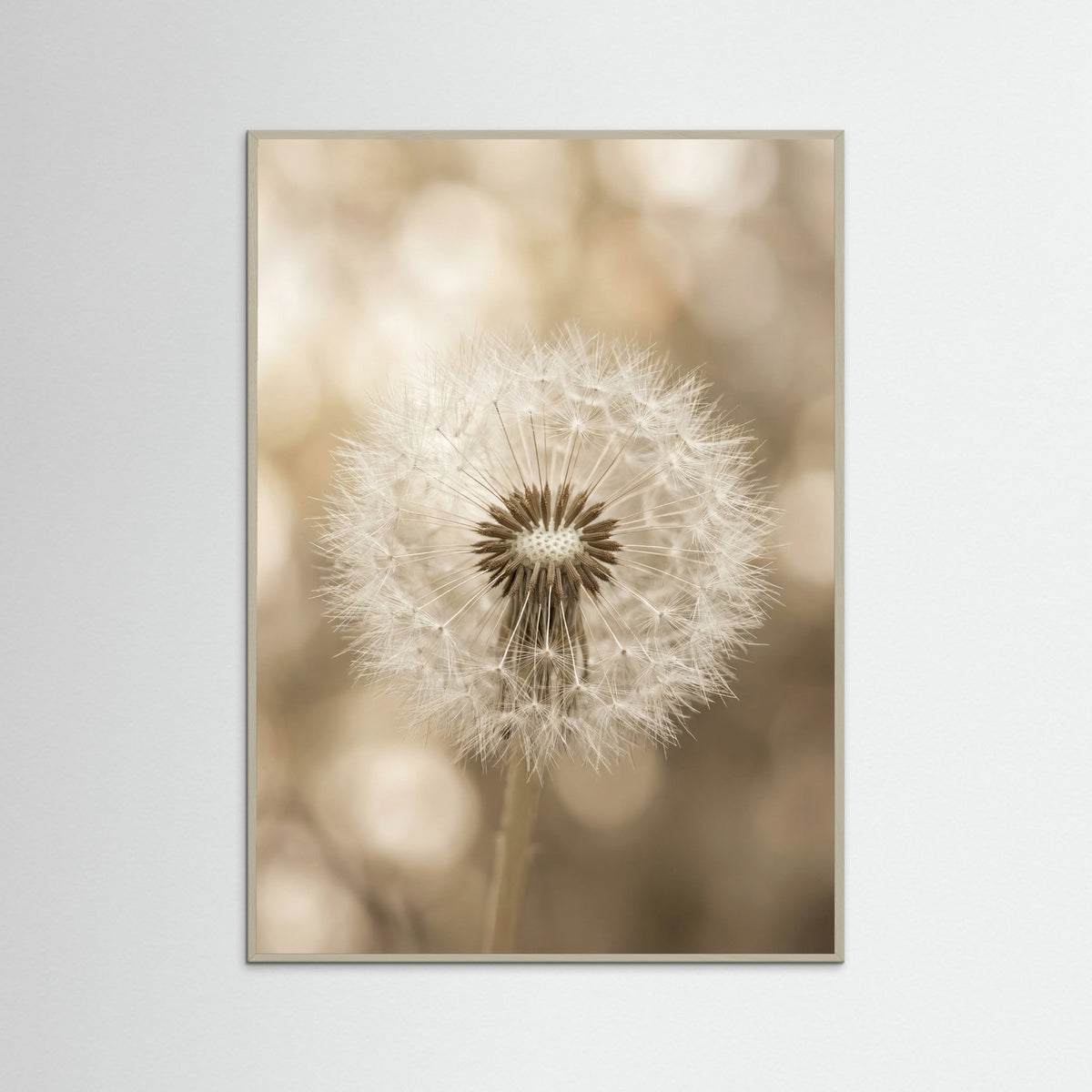 Grey Wood Whispering Plumes