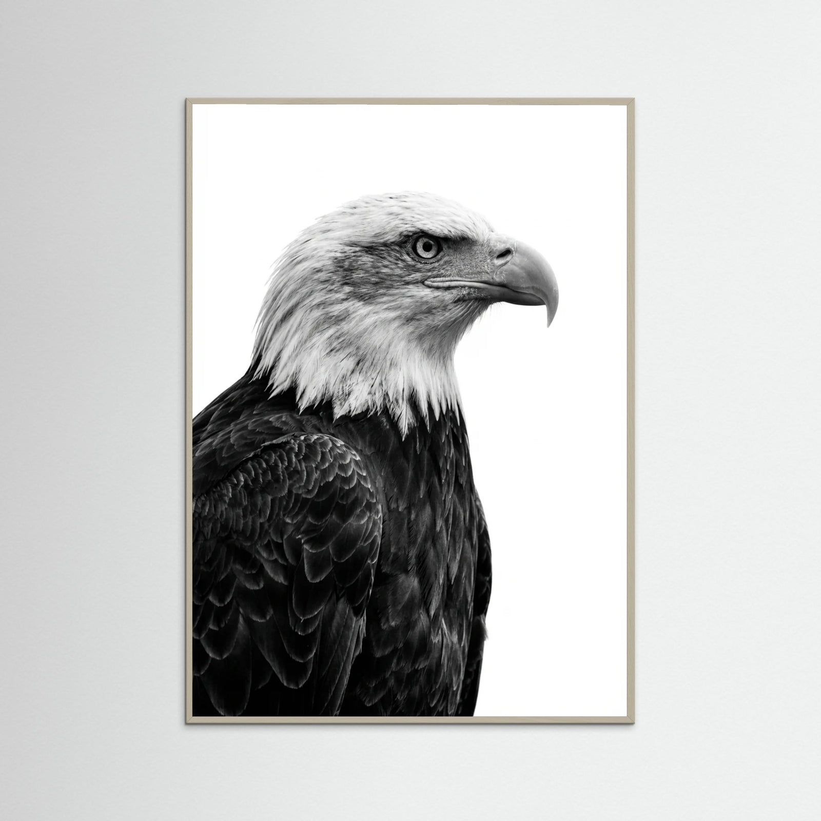 Grey Wood Wild Profile