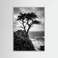 Grey Wood Windblown Grace