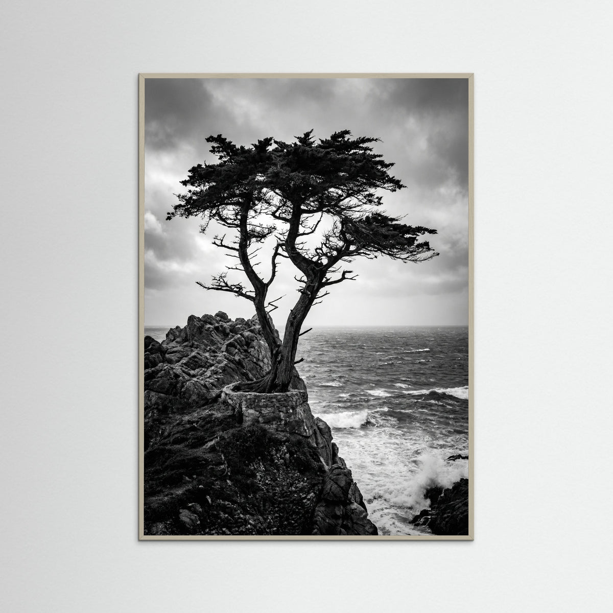 Grey Wood Windblown Grace