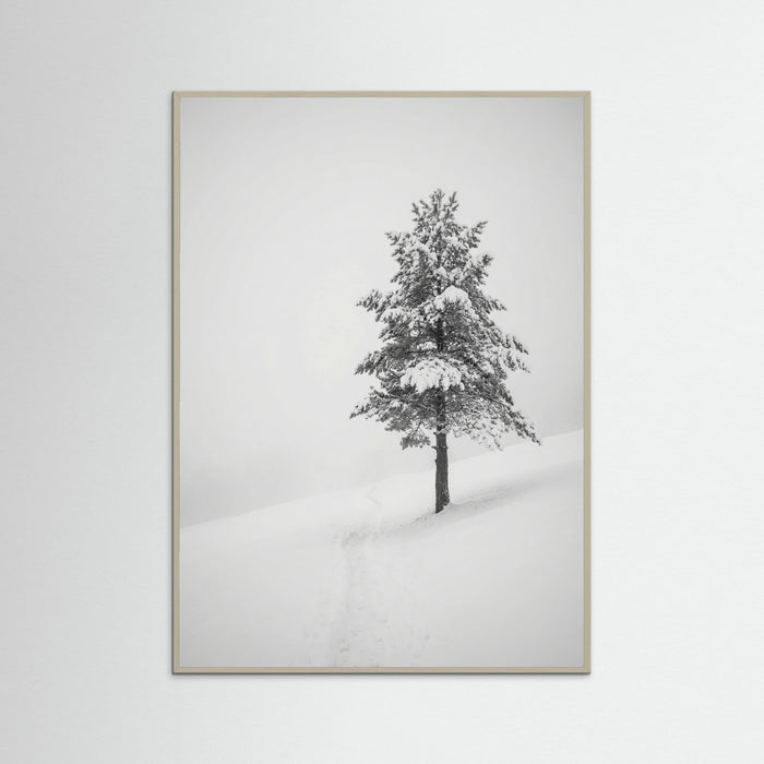 Grey Wood Winter Ascent