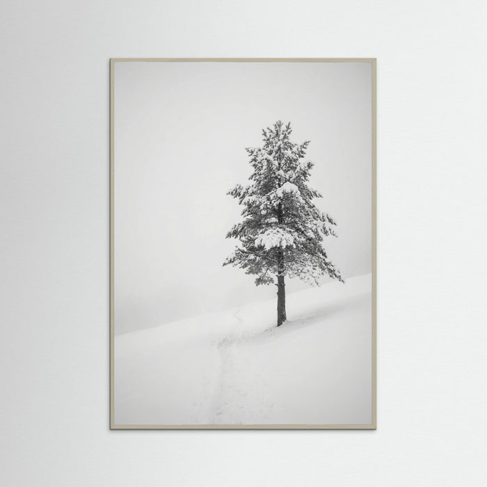 Grey Wood Winter Ascent