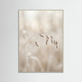 Grey Wood Winter Whispers