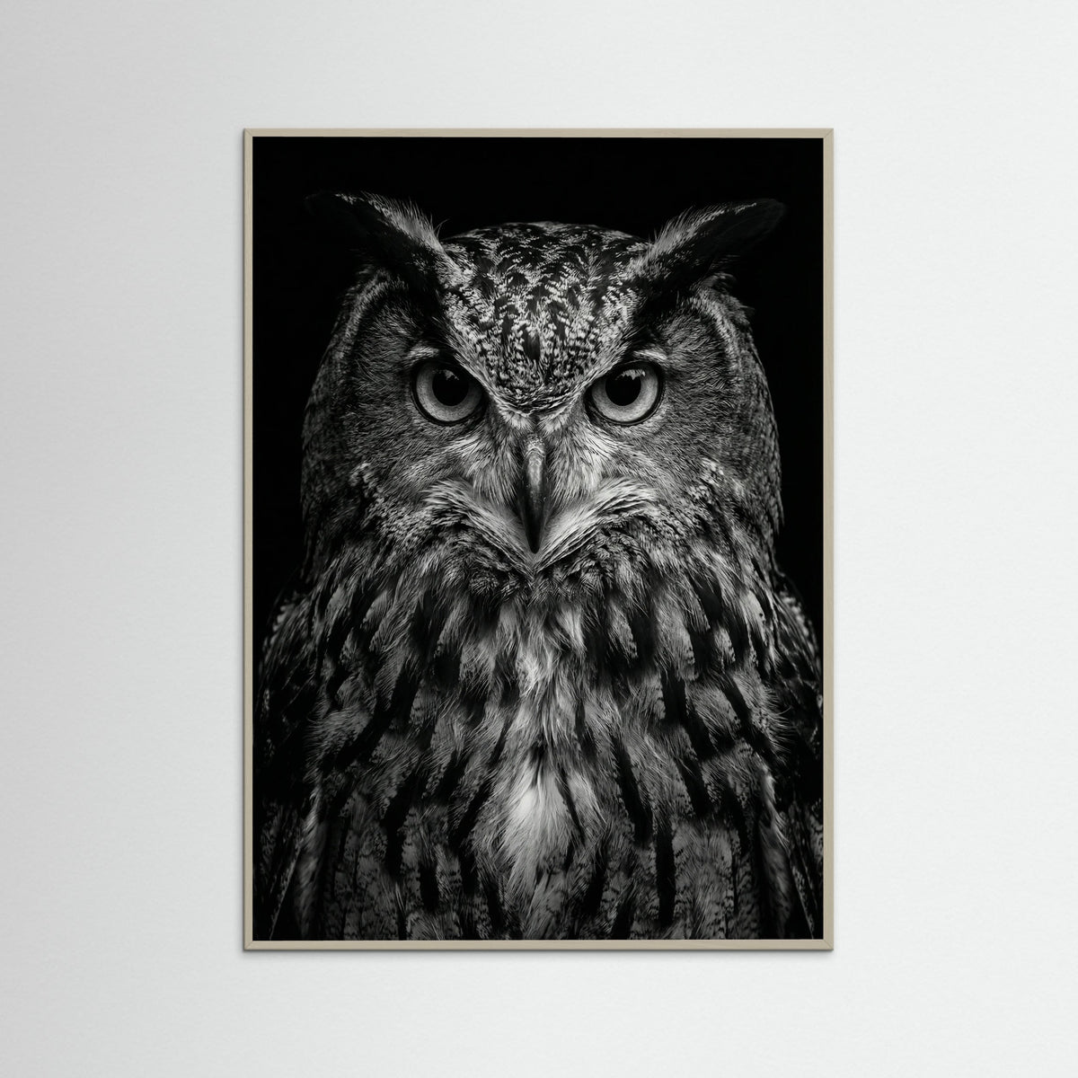 Grey Wood Wise Labrador