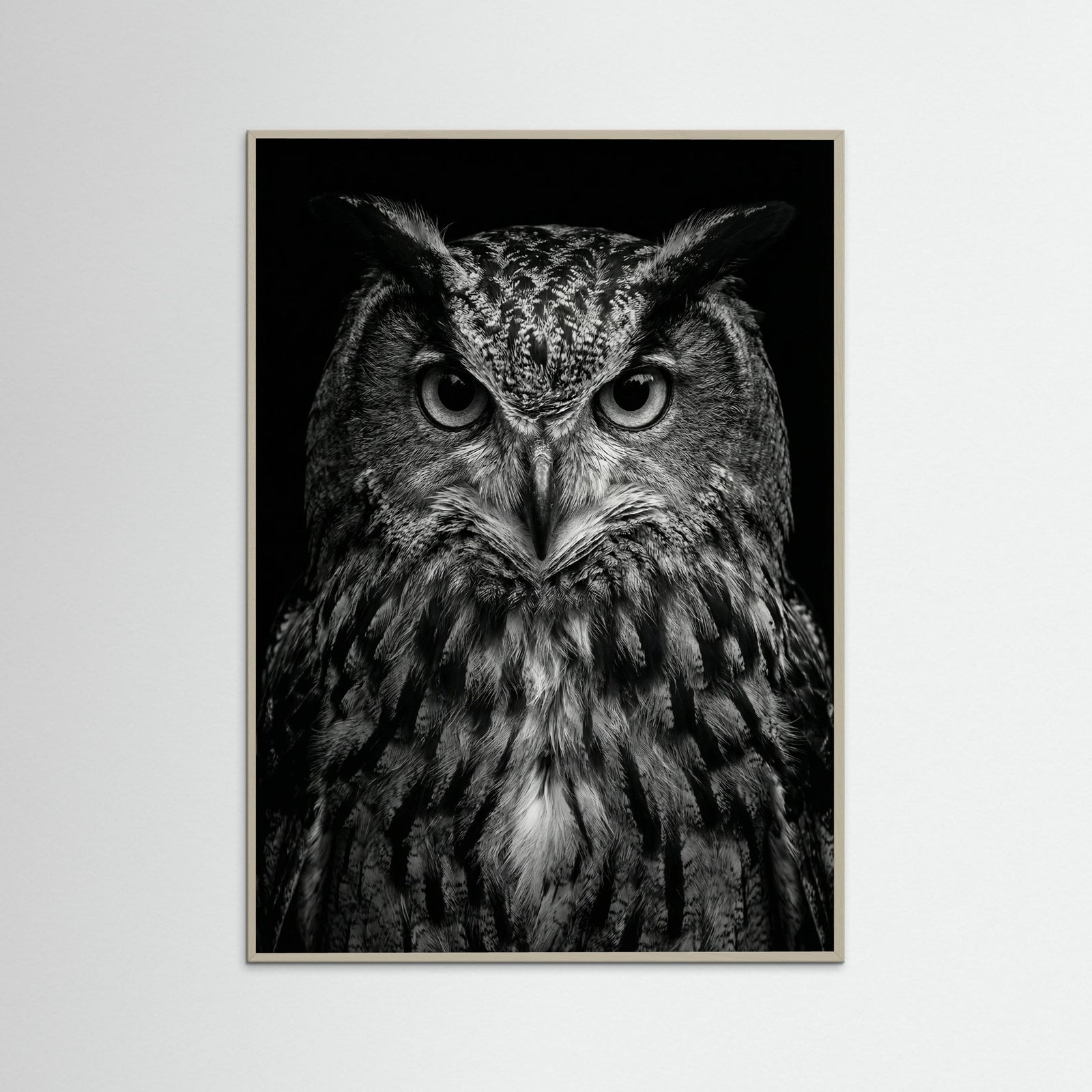 Grey Wood Wise Labrador