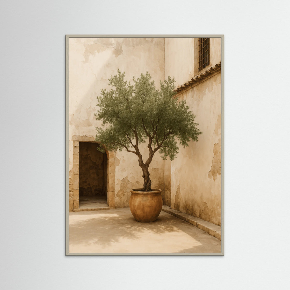 Grey Wood photo Potted Olive Tree