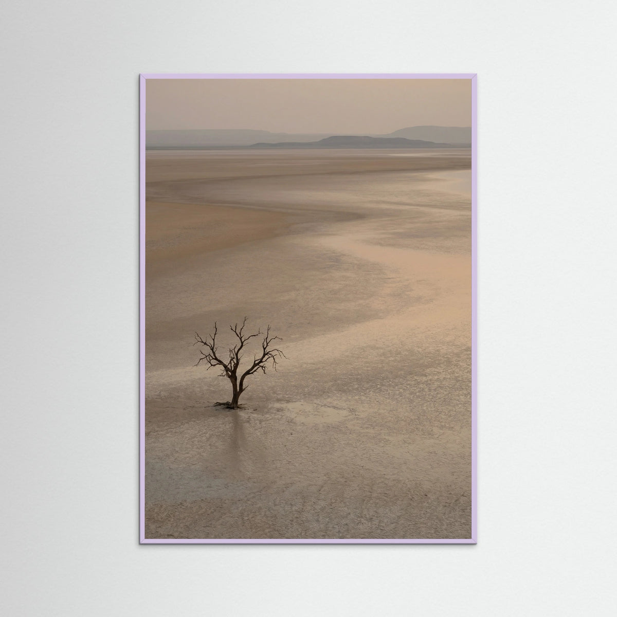 Lilac Wood Arid Horizon
