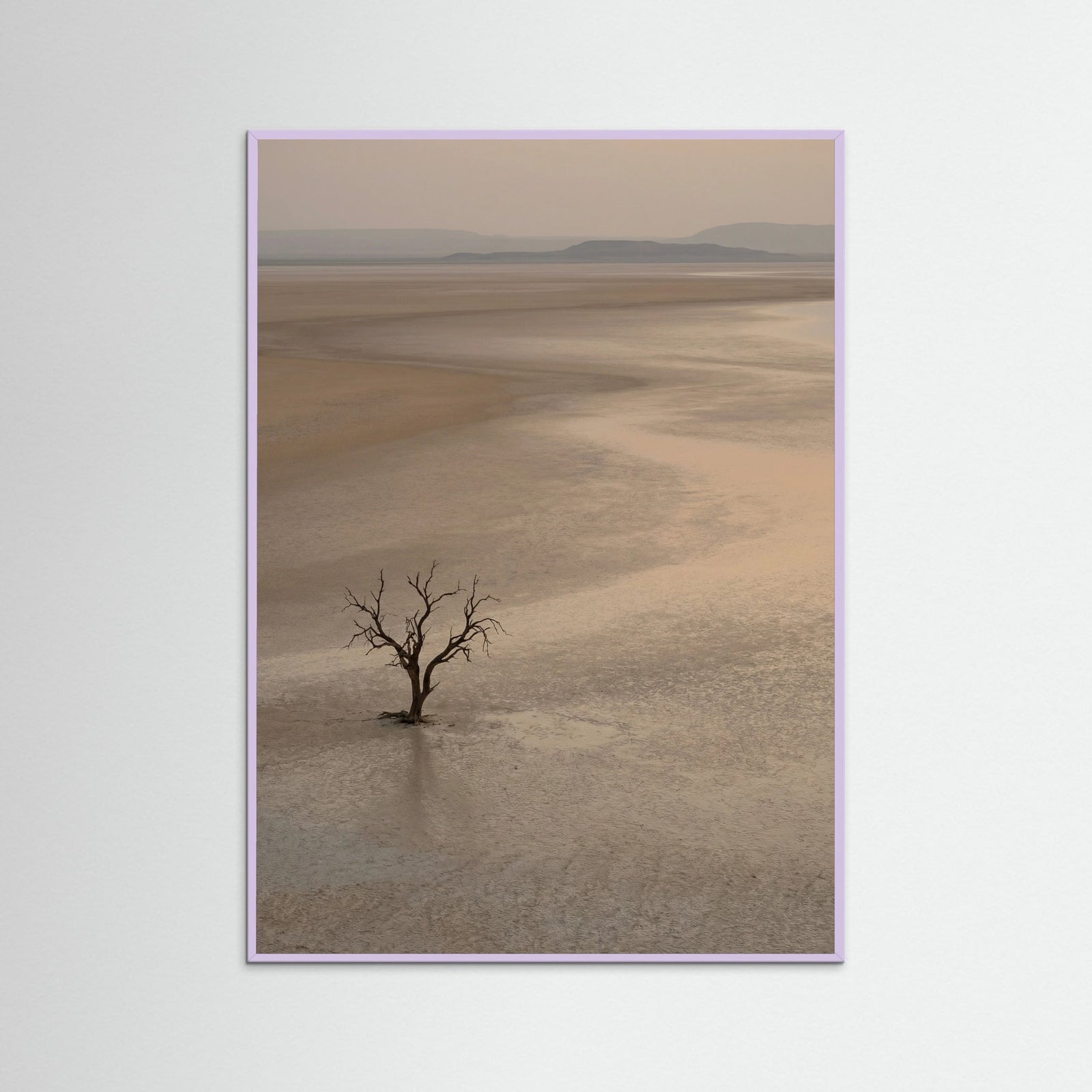 Lilac Wood Arid Horizon