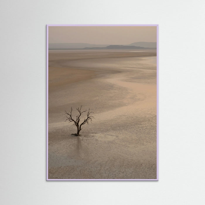 Lilac Wood Arid Horizon