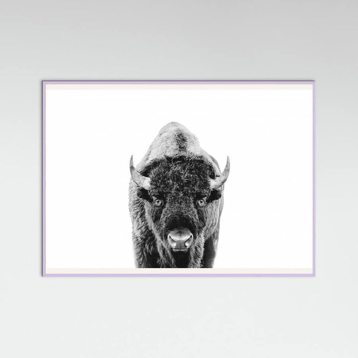 Póster Bison Bw – póster e impresión artística