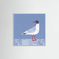 Black Headed Gull Poster – plakat og kunsttryk