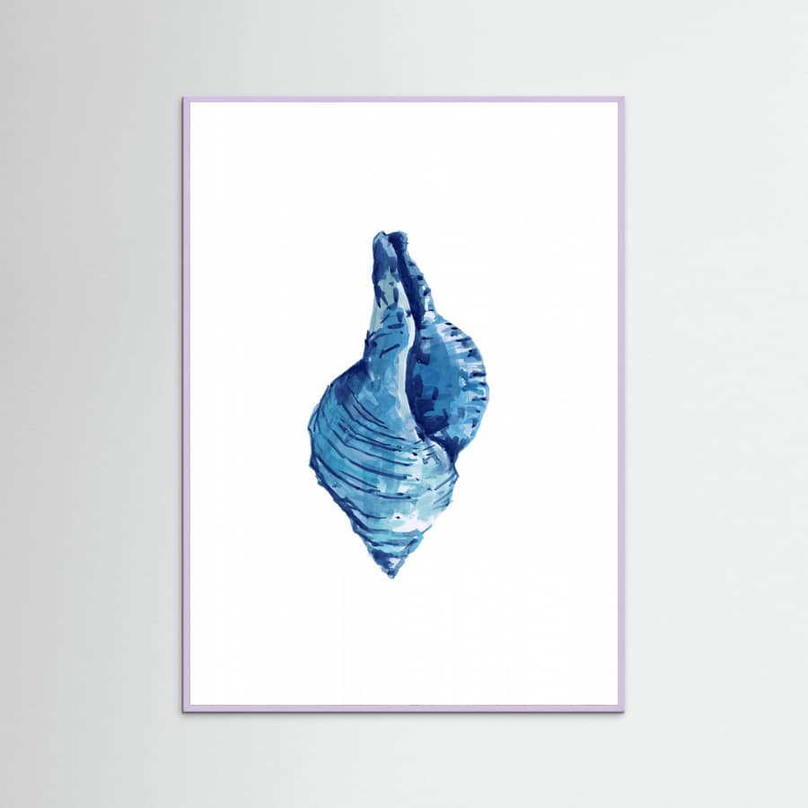 Affiche Blue Seashell On White Background No3 – affiche et impression d’art