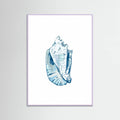 Blue Seashell On White Background No6 Poster – plakat og kunsttryk