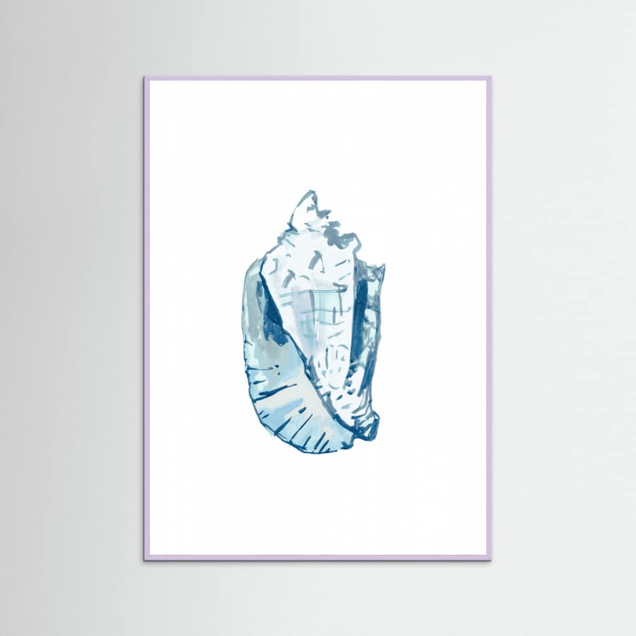 Blue Seashell On White Background No6 Poster – plakat og kunsttryk