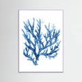 Bluecoral(watercolor) Poster – plakat og kunsttryk