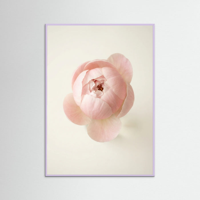 Lilac Wood Blushing Blooms