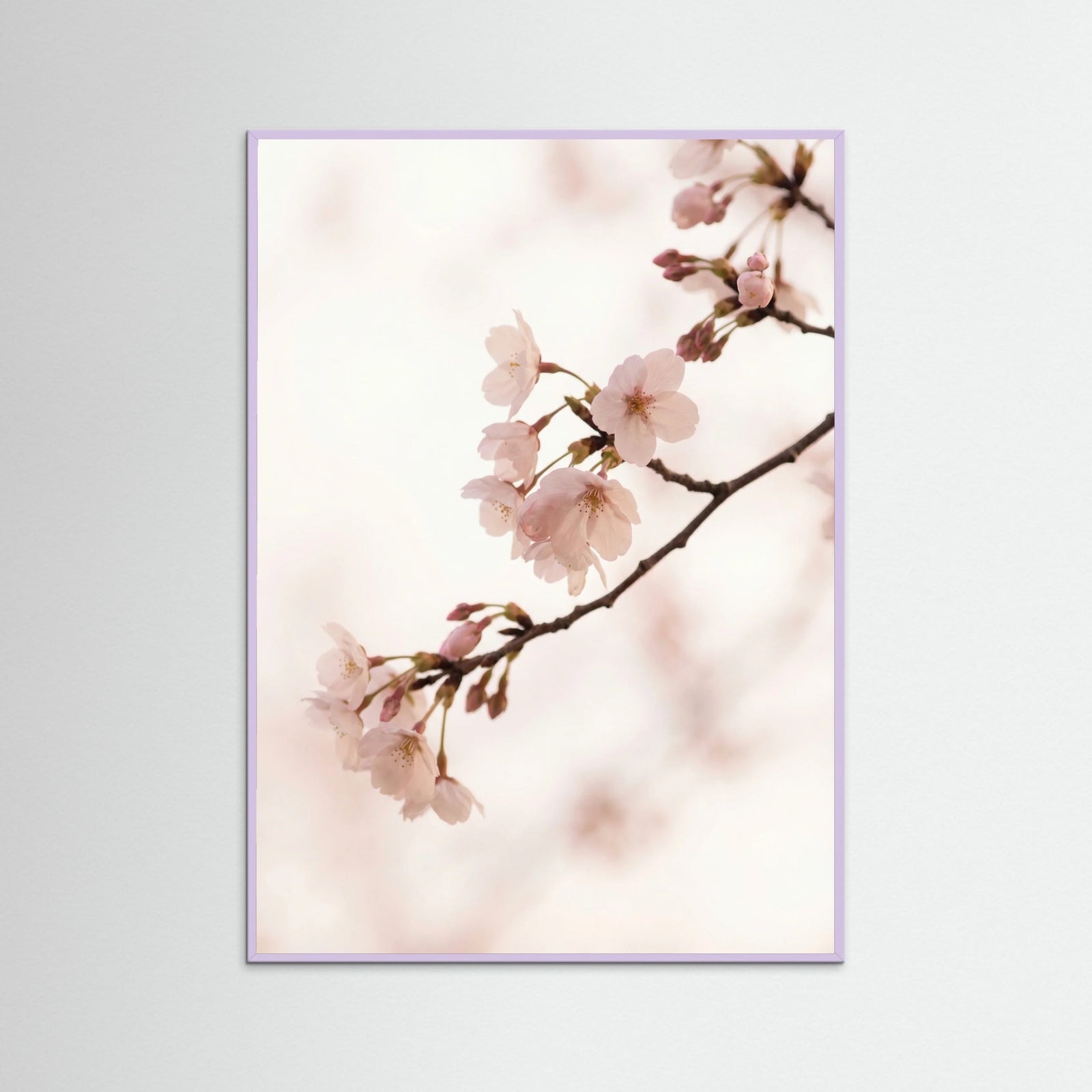 Lilac Wood Blushing Branches