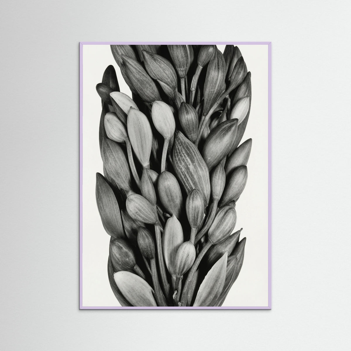 Lilac Wood Budding Forms