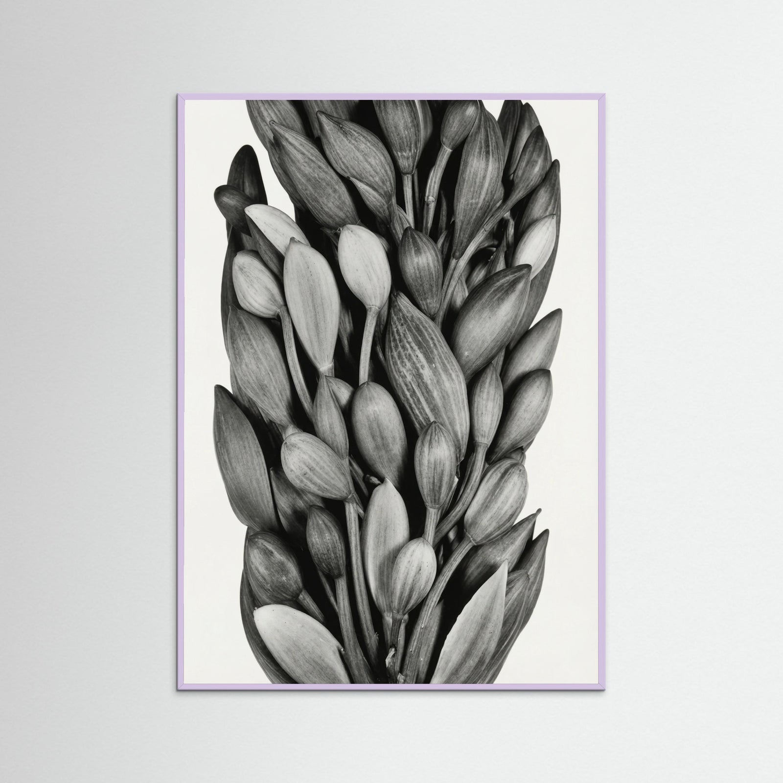 Lilac Wood Budding Forms