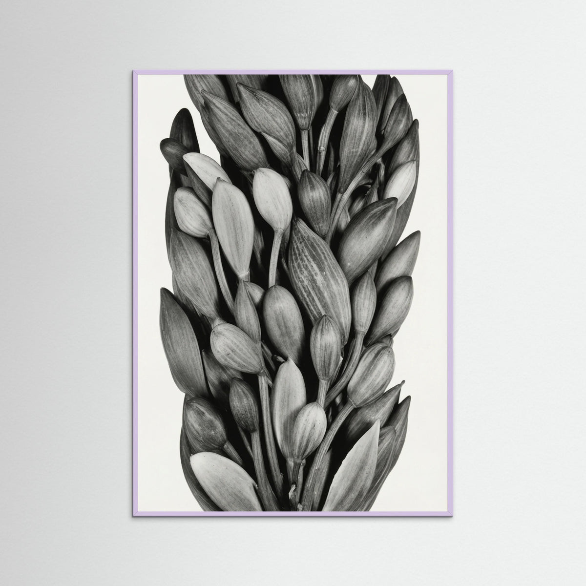 Lilac Wood Budding Forms