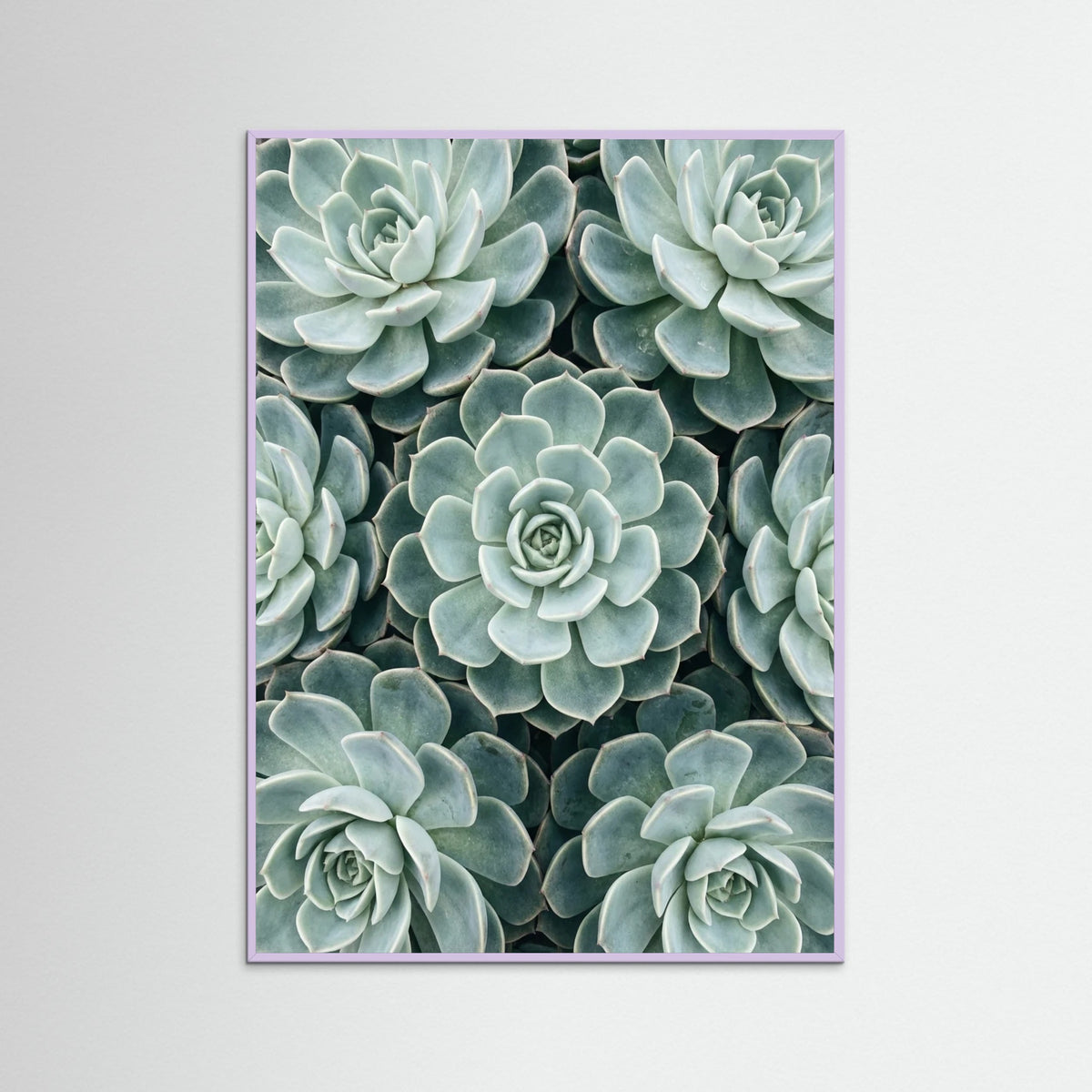 Lilac Wood Cactus Array